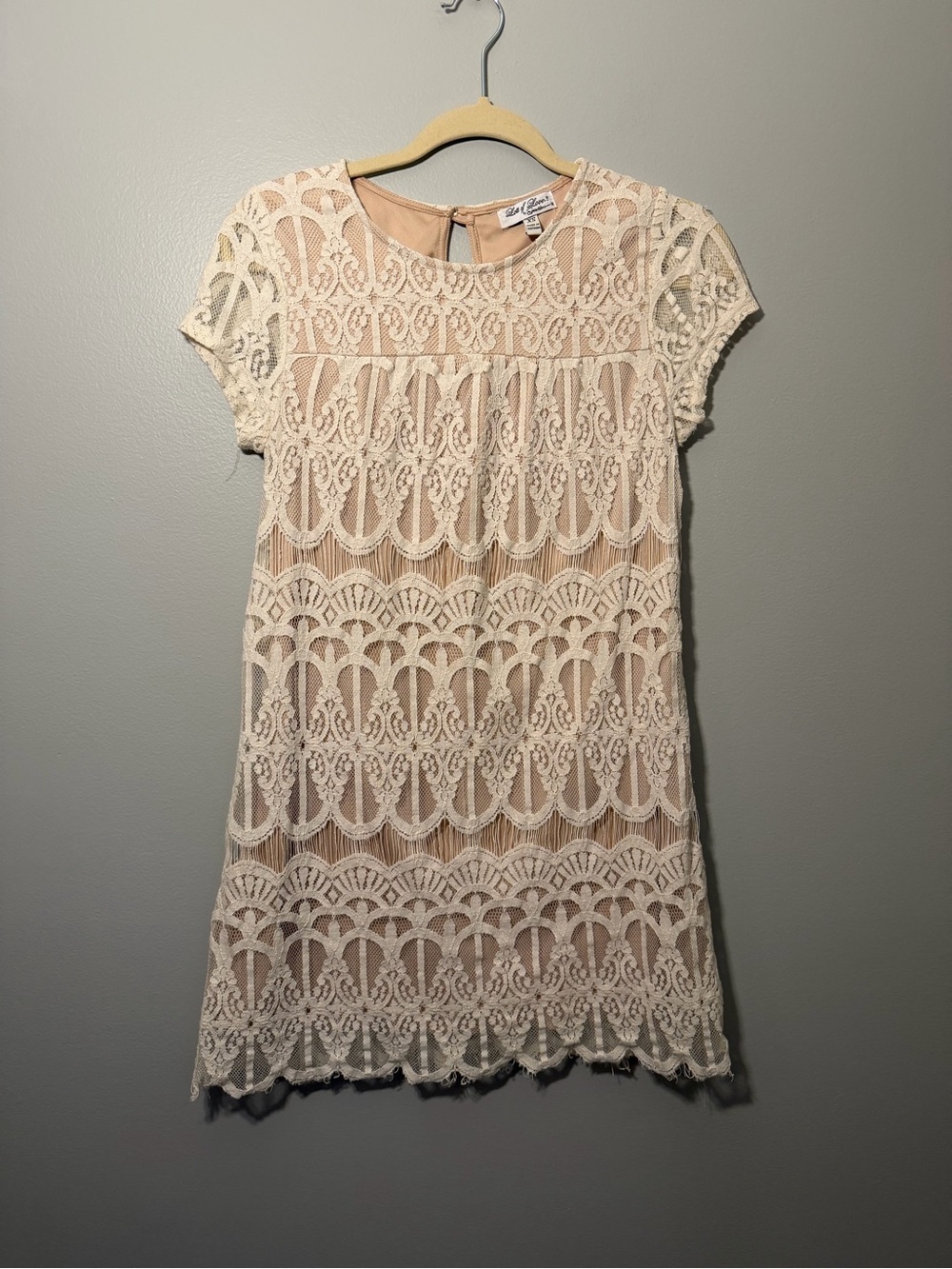 Scalloped Lace Mini Dress in Cream